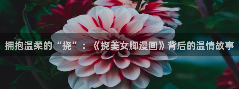 漫画屋极速版：拥抱温柔的“挠”：《挠美女脚漫画》背后的温情故事